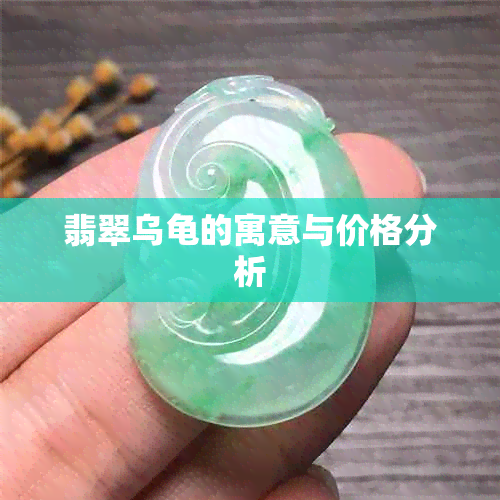 翡翠乌龟的寓意与价格分析