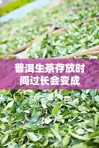 普洱生茶存放时间过长会变成成熟茶吗？如何判断普洱茶是否已经变成熟茶？