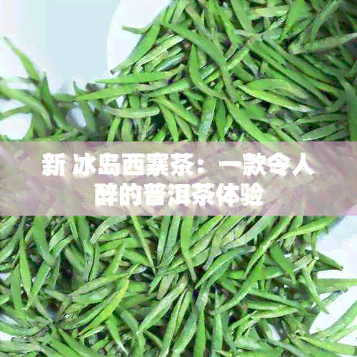 新 冰岛西寨茶：一款令人醉的普洱茶体验