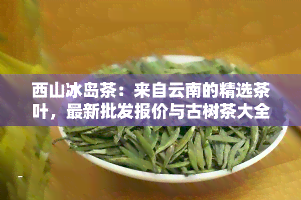 西山冰岛茶：来自云南的精选茶叶，最新批发报价与古树茶大全