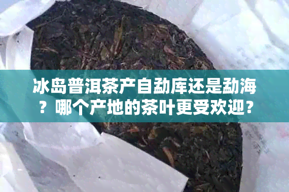 冰岛普洱茶产自勐库还是勐海？哪个产地的茶叶更受欢迎？