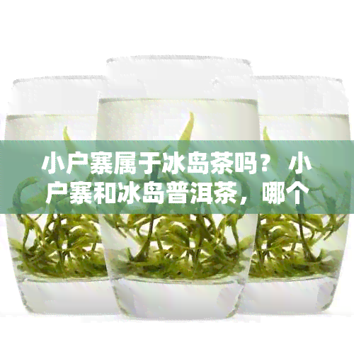 小户寨属于冰岛茶吗？ 小户寨和冰岛普洱茶，哪个更适合您？