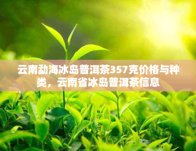 云南勐海冰岛普洱茶357克价格与种类，云南省冰岛普洱茶信息