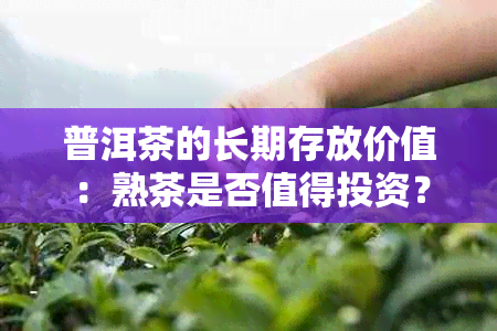 普洱茶的长期存放价值：熟茶是否值得投资？