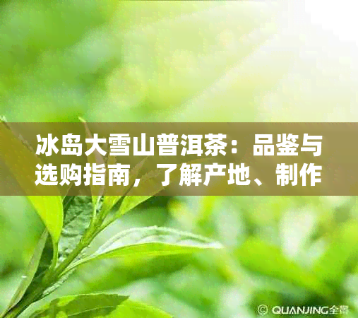 冰岛大雪山普洱茶：品鉴与选购指南，了解产地、制作工艺与口感特点