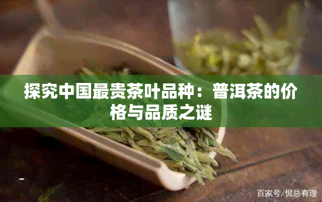 探究中国最贵茶叶品种：普洱茶的价格与品质之谜