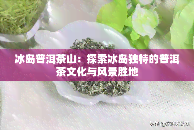 冰岛普洱茶山：探索冰岛独特的普洱茶文化与风景胜地