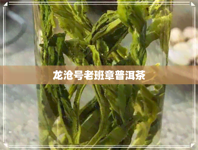 龙沧号老班章普洱茶