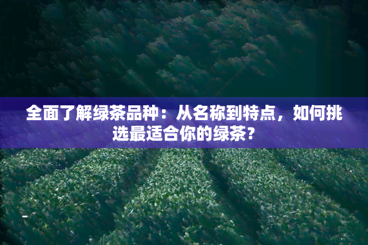 全面了解绿茶品种：从名称到特点，如何挑选最适合你的绿茶？