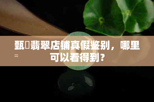 甄嬛翡翠店铺真假鉴别，哪里可以看得到？