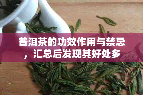 普洱茶的功效作用与禁忌，汇总后发现其好处多