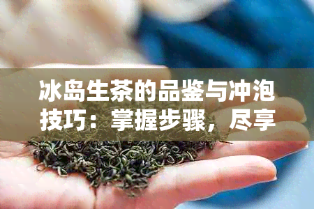 冰岛生茶的品鉴与冲泡技巧：掌握步骤，尽享普洱茶的醇厚口感