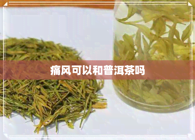 痛风可以和普洱茶吗