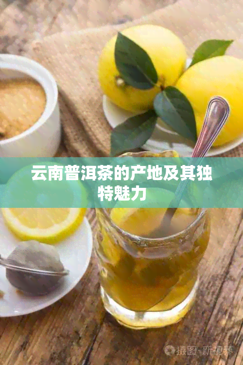 云南普洱茶的产地及其独特魅力