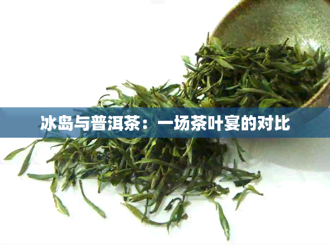 冰岛与普洱茶：一场茶叶宴的对比