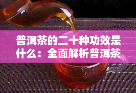 普洱茶的二十种功效是什么：全面解析普洱茶的神奇效用