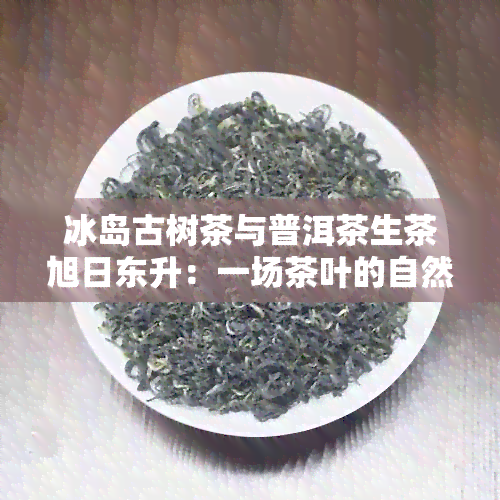 冰岛古树茶与普洱茶生茶旭日东升：一场茶叶的自然之美与独特风味的完美融合