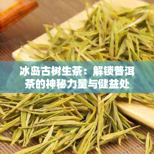 冰岛古树生茶：解锁普洱茶的神秘力量与健益处