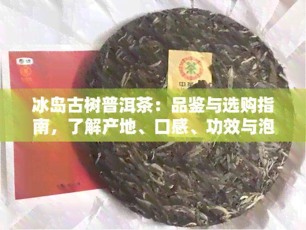 冰岛古树普洱茶：品鉴与选购指南，了解产地、口感、功效与泡法的全方位解析