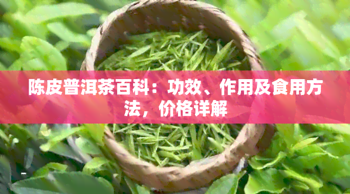 陈皮普洱茶百科：功效、作用及食用方法，价格详解