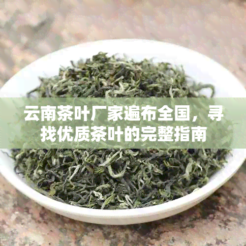 云南茶叶厂家遍布全国，寻找优质茶叶的完整指南