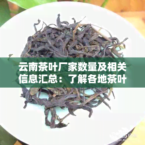 云南茶叶厂家数量及相关信息汇总：了解各地茶叶生产商，寻找优质茶叶