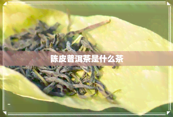 陈皮普洱茶是什么茶