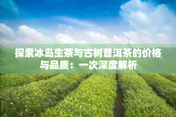 探索冰岛生茶与古树普洱茶的价格与品质：一次深度解析