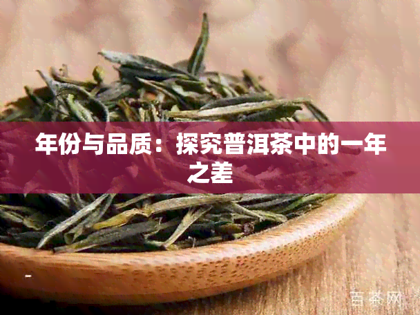 年份与品质：探究普洱茶中的一年之差