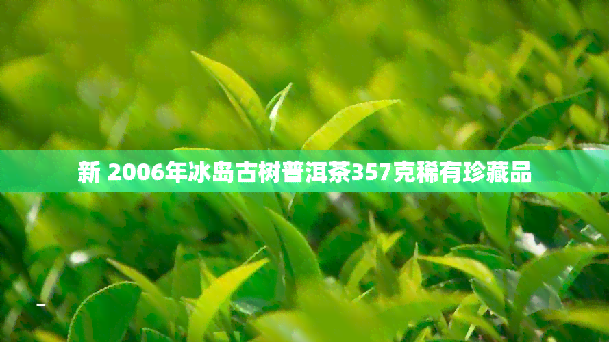 新 2006年冰岛古树普洱茶357克稀有珍藏品