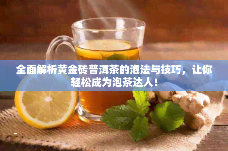 全面解析黄金砖普洱茶的泡法与技巧，让你轻松成为泡茶达人！