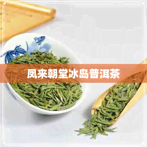 凤来朝堂冰岛普洱茶