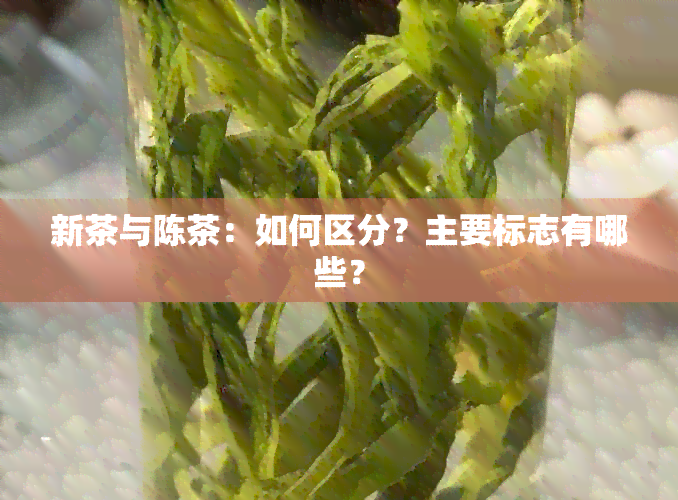 新茶与陈茶：如何区分？主要标志有哪些？