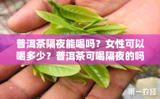 普洱茶隔夜能喝吗？女性可以喝多少？普洱茶可喝隔夜的吗？