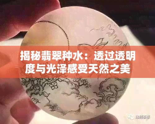 揭秘翡翠种水：透过透明度与光泽感受天然之美