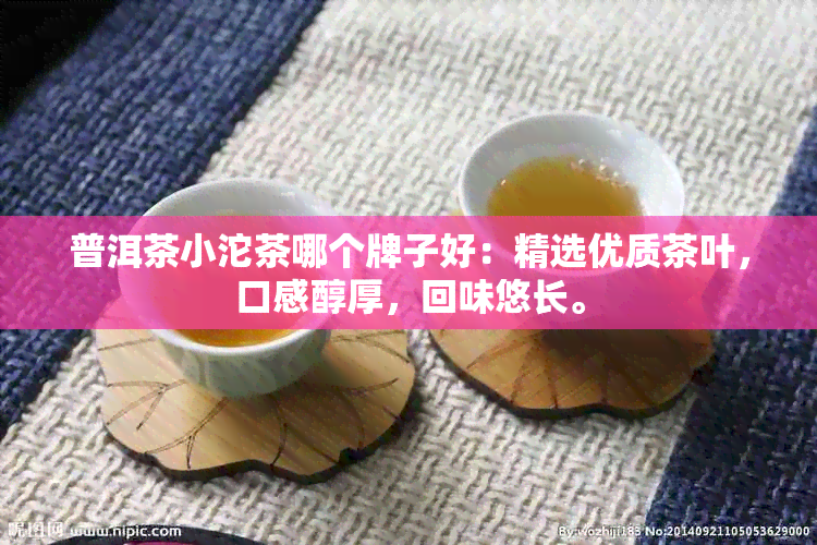 普洱茶小沱茶哪个牌子好：精选优质茶叶，口感醇厚，回味悠长。