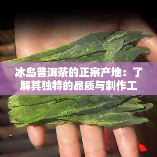 冰岛普洱茶的正宗产地：了解其独特的品质与制作工艺