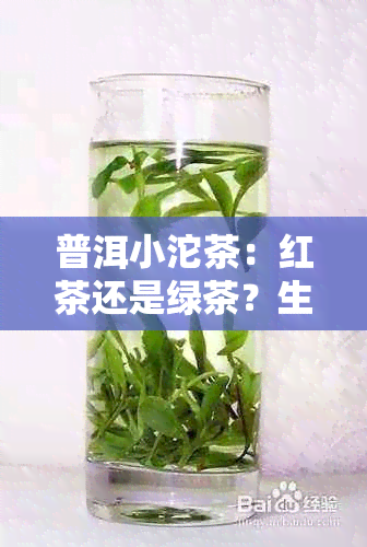 普洱小沱茶：红茶还是绿茶？生茶还是熟茶？