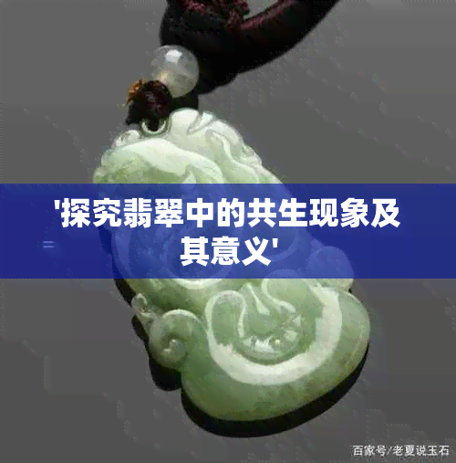 '探究翡翠中的共生现象及其意义'