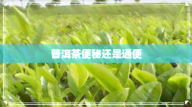 普洱茶便秘还是通便