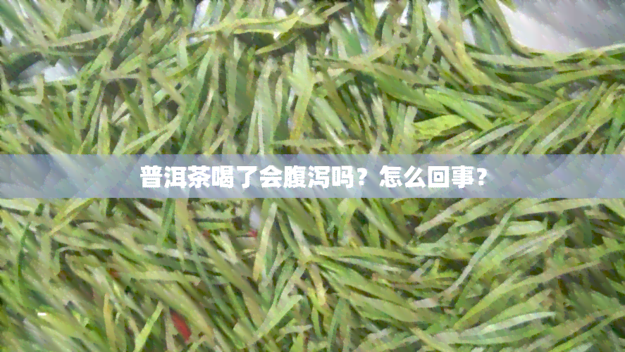 普洱茶喝了会腹泻吗？怎么回事？