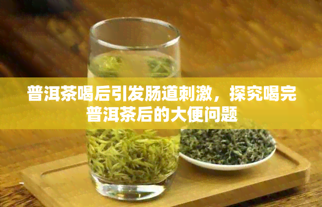 普洱茶喝后引发肠道刺激，探究喝完普洱茶后的大便问题