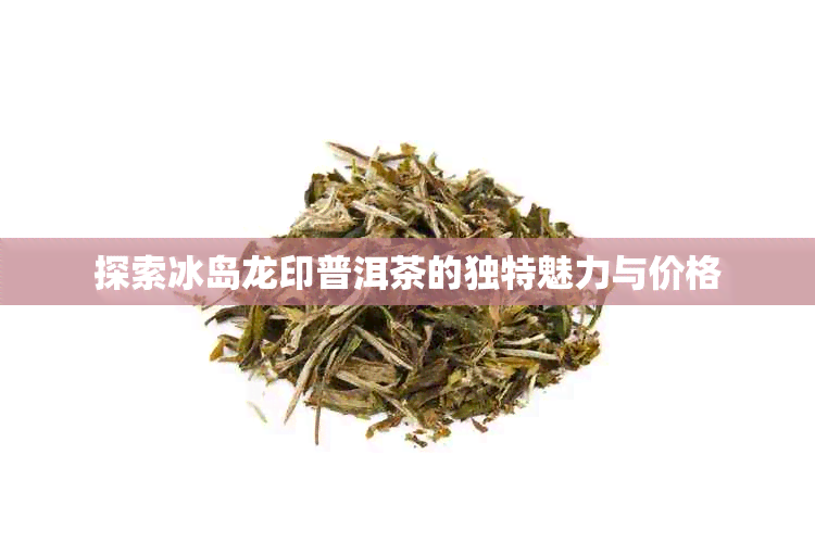 探索冰岛龙印普洱茶的独特魅力与价格