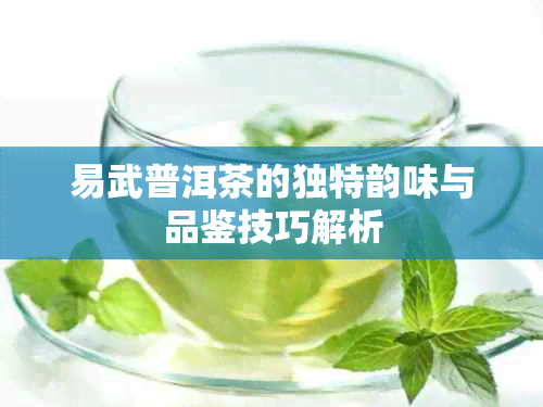 易武普洱茶的独特韵味与品鉴技巧解析