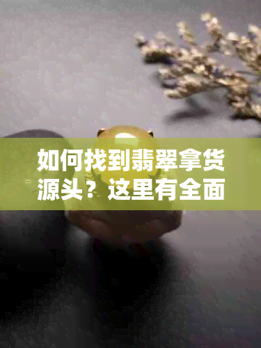 如何找到翡翠拿货源头？这里有全面的指导和建议！