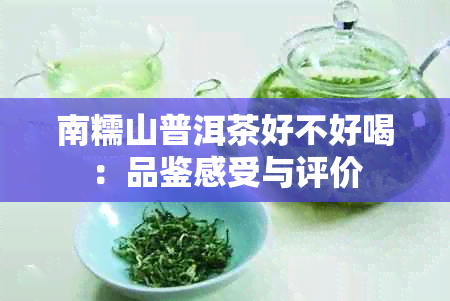 南糯山普洱茶好不好喝：品鉴感受与评价