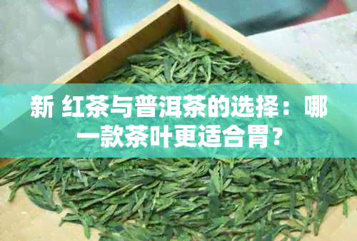 新 红茶与普洱茶的选择：哪一款茶叶更适合胃？