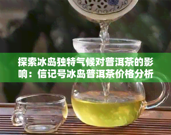 探索冰岛独特气候对普洱茶的影响：信记号冰岛普洱茶价格分析与品鉴