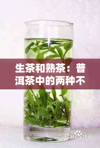 生茶和熟茶：普洱茶中的两种不同价位选择