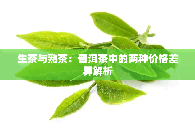 生茶与熟茶：普洱茶中的两种价格差异解析